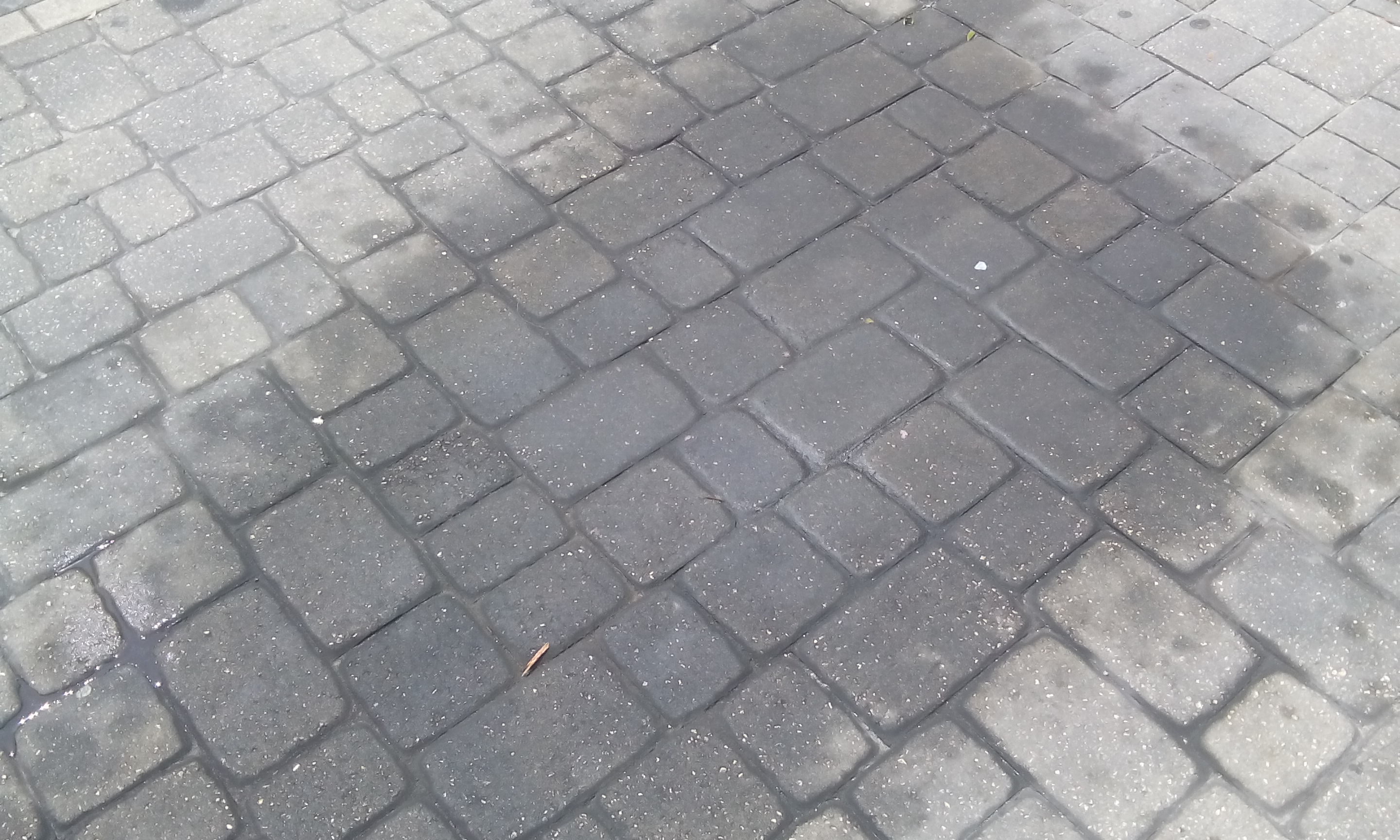 clean oil on pavers